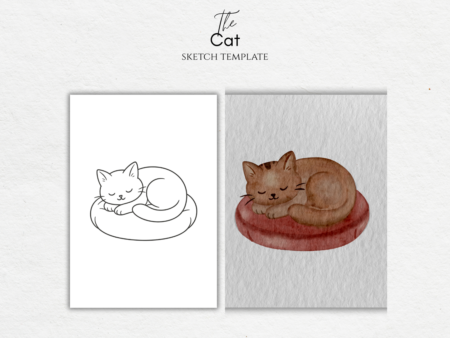 The Cat – Free Sketch Template for Watercolor & Procreate