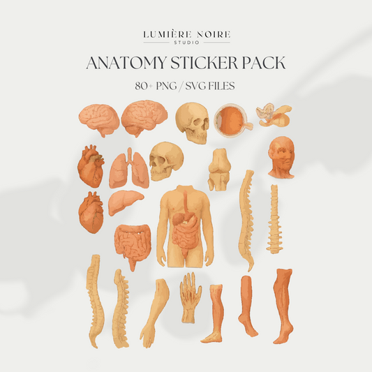80+ Anatomy Stickers – Human Body Illustrations | SVG + PNG | Transparent Medical Clipart | Digital Download