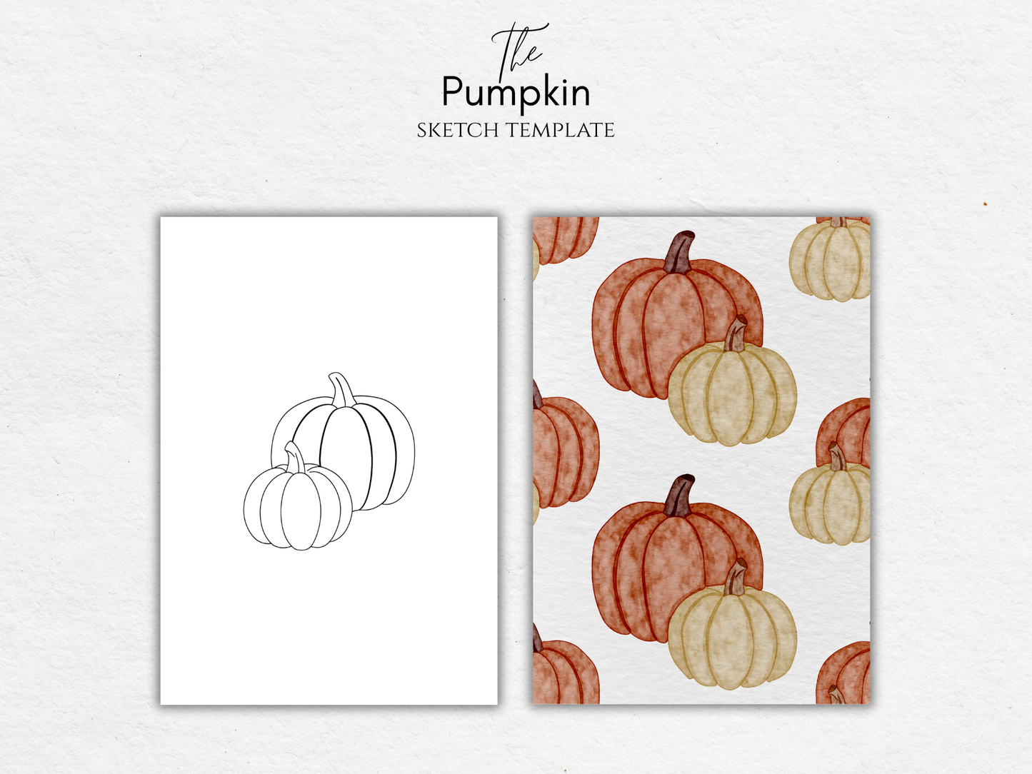 The Pumpkin – Free Sketch Template for Watercolor & Procreate
