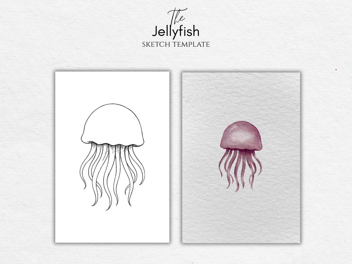 The Jellyfish – Free Ocean Sketch Template for Watercolor & Procreate