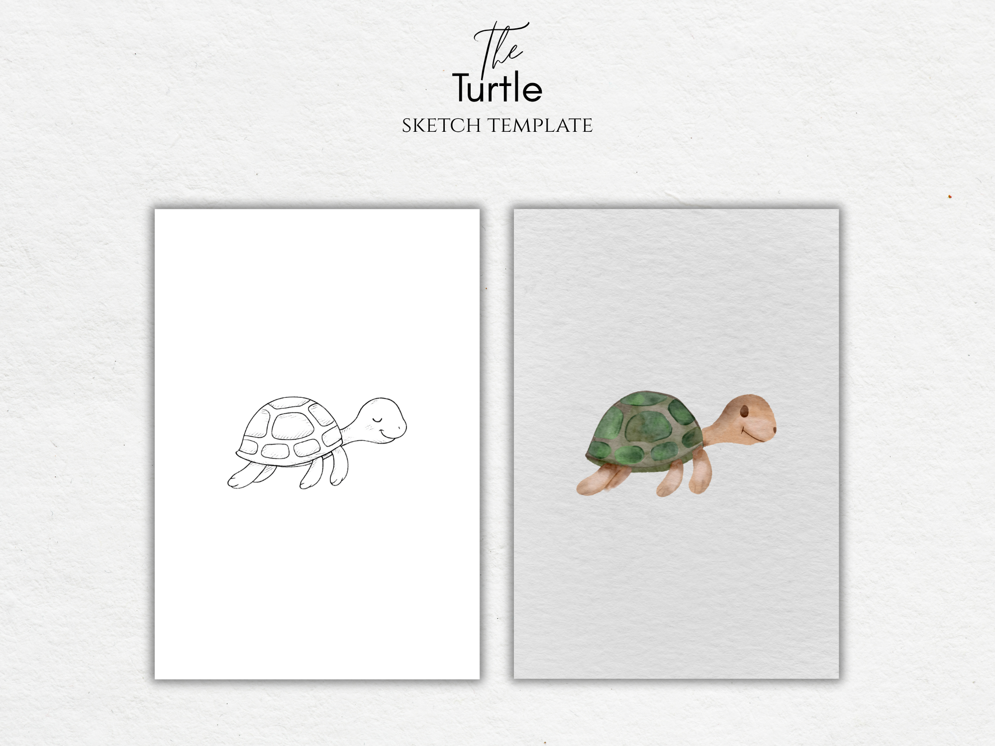 The Turtle – Free Sketch Template for Watercolor & Procreate – Lumière ...