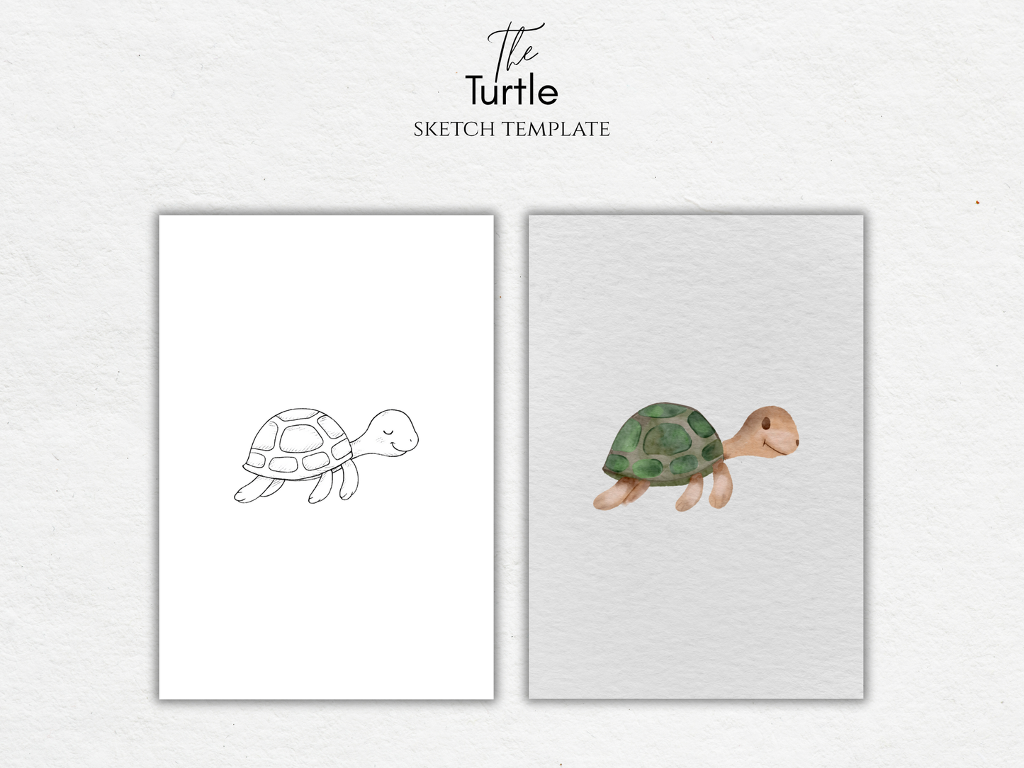 The Turtle – Free Sketch Template for Watercolor & Procreate