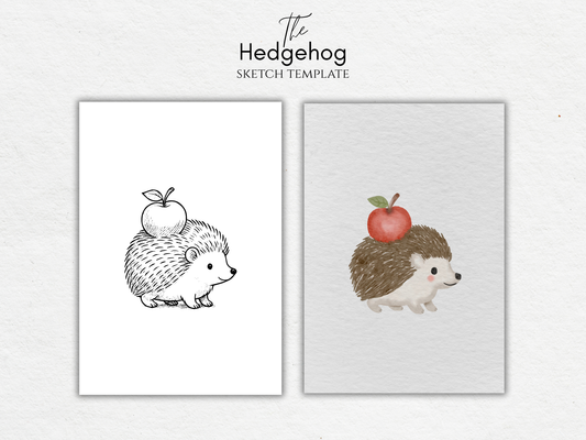 The Hedgehog – Free Sketch Template for Watercolor & Procreate