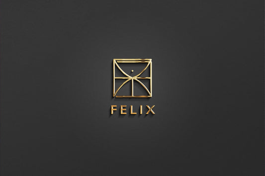 FELIX - Name Logo Design | Instant Download | Premade Logo | Minimalist Design